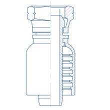 BSPXF BSP 60º Swivel Female Straight - British Standard Pipe Parallel Female Swivel - Hose End